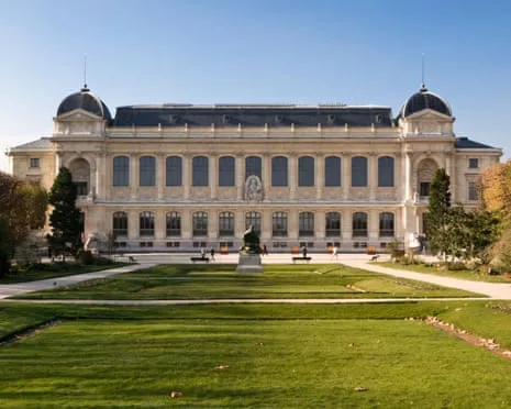Priceless Gold Samples Stolen in Daring Raid at French Natural History Institution